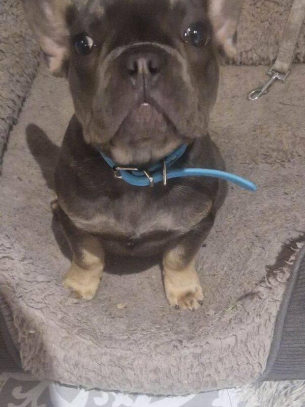 4 months old