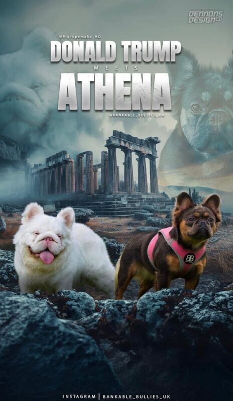 Big rope fluffy frenchies