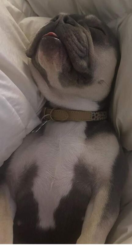 Charlotte - Image 2 of 4