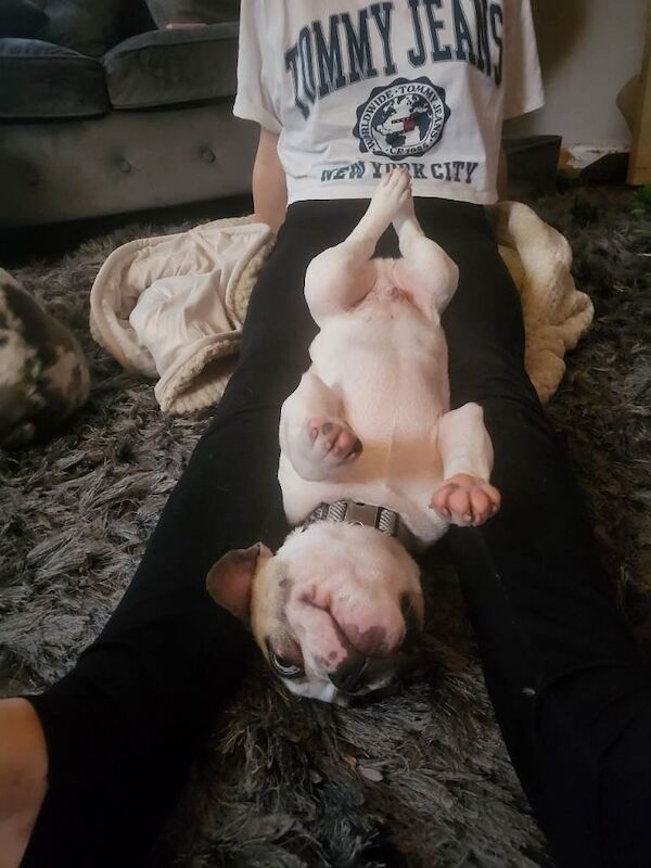 Handsome little man - Image 3 of 5