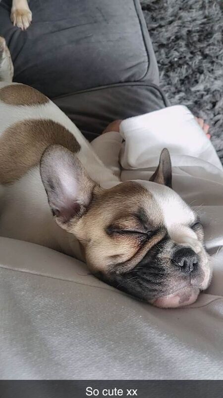 Handsome little man - Image 5 of 5