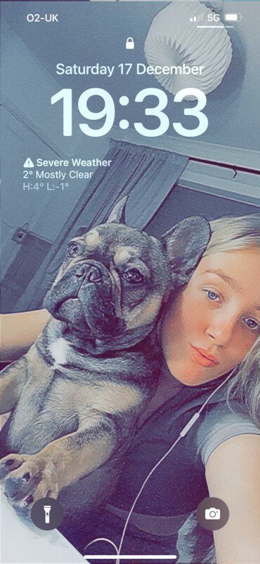 Male frenchie ( reggie ) for sale in Birmingham, West Midlands | Image 2