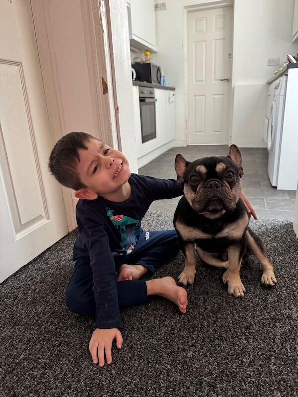 Mr for sale in Enfield, Greater London