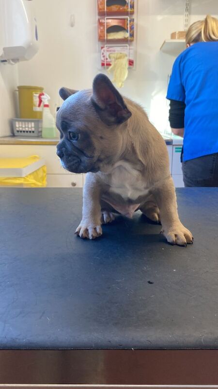 Ready to leave - Image 2 of 4