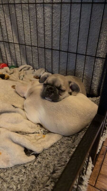 Ready to leave - Image 4 of 4