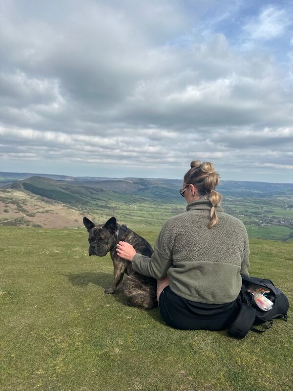 Rehome Tyson for sale in Warrington, Cheshire | Image 2