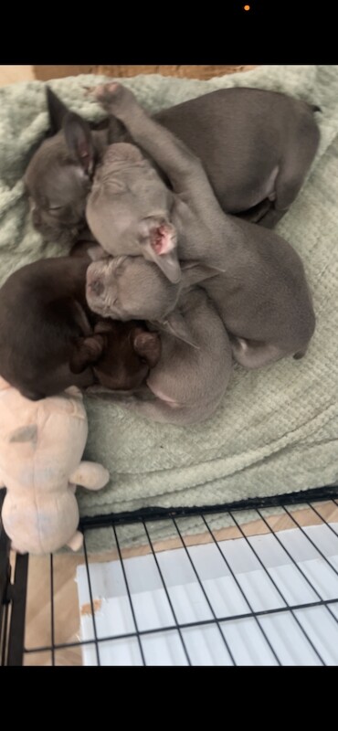 X4 left ready to go - Image 4 of 6